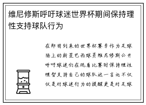 维尼修斯呼吁球迷世界杯期间保持理性支持球队行为