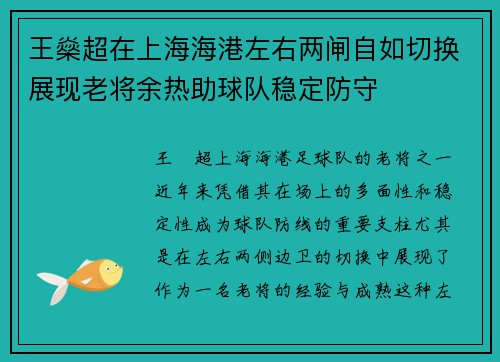 王燊超在上海海港左右两闸自如切换展现老将余热助球队稳定防守 王燊超在上海海港左右两闸自如切换展现老将余热助球队稳定防守
